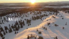 Klimosz - W zgodzie z naturą