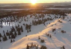 Klimosz - W zgodzie z naturą