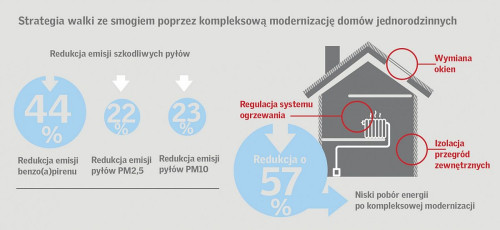 Strategia walki ze smogiem