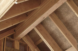 Dużym atutem domów drewnianych jest fakt, że drewno jest materiałem ekologicznym