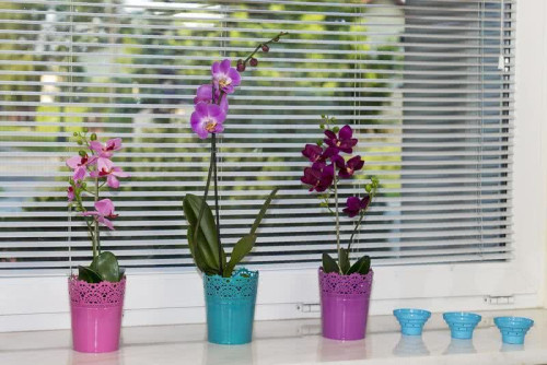 Osłonki na doniczki pomalowane lakierem akrylowym