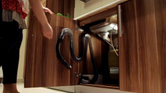 Speed Leo - szybkie  i wygodne sprzątanie