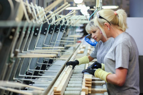 Wioska Okienna DOVISTA