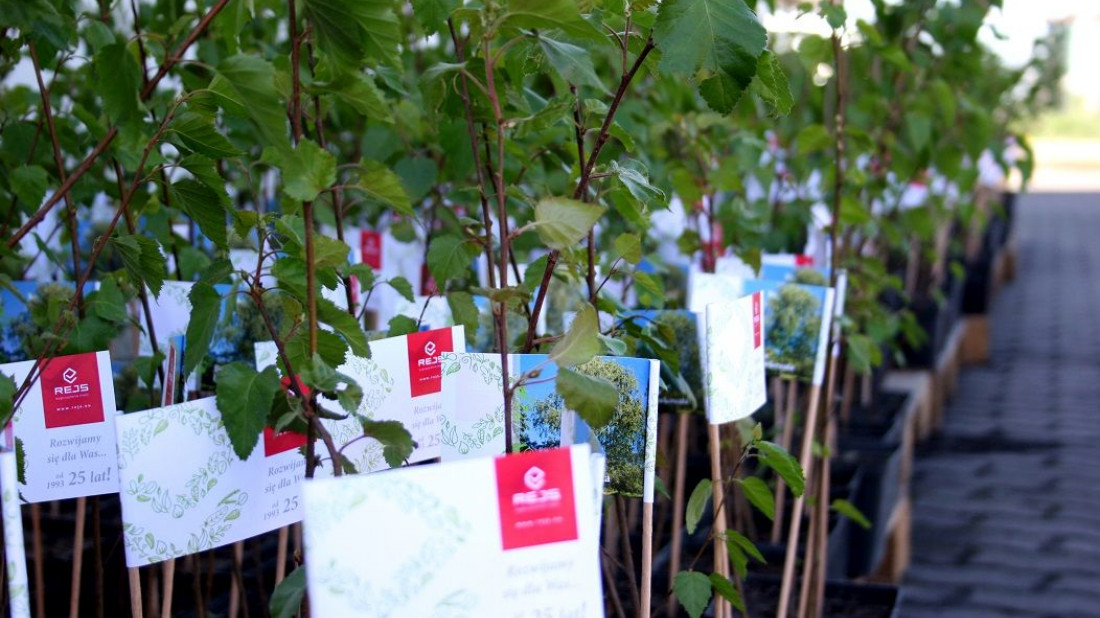 Tysiąc drzew na urodziny firmy REJS