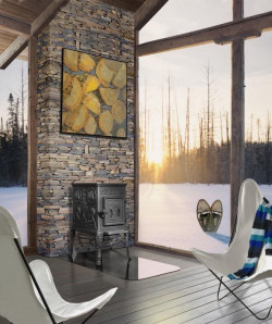 Koza na drewno 100 CBS