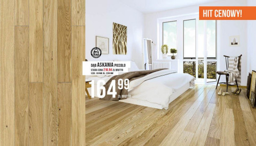 DĄB ASKANIA PICCOLO