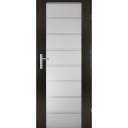 Drzwi szklane GREMIUM