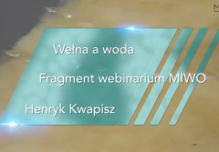 Wełna mineralna a woda
