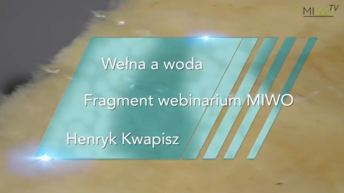 Wełna mineralna a woda