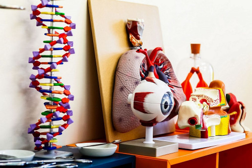 Pracownia biologiczno-chemiczna wraz z wyposażeniem