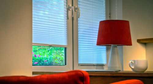 Plisy z oferty Anwis