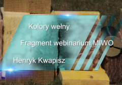 Wełna mineralna kolory