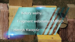 Wełna mineralna kolory