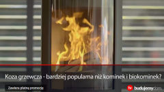 Koza grzewcza - bardziej popularna niż kominek z wkładem grzewczym