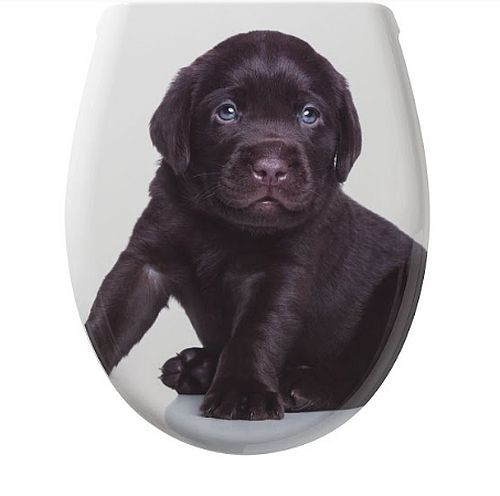 Deska sedesowa ze szczeniakiem