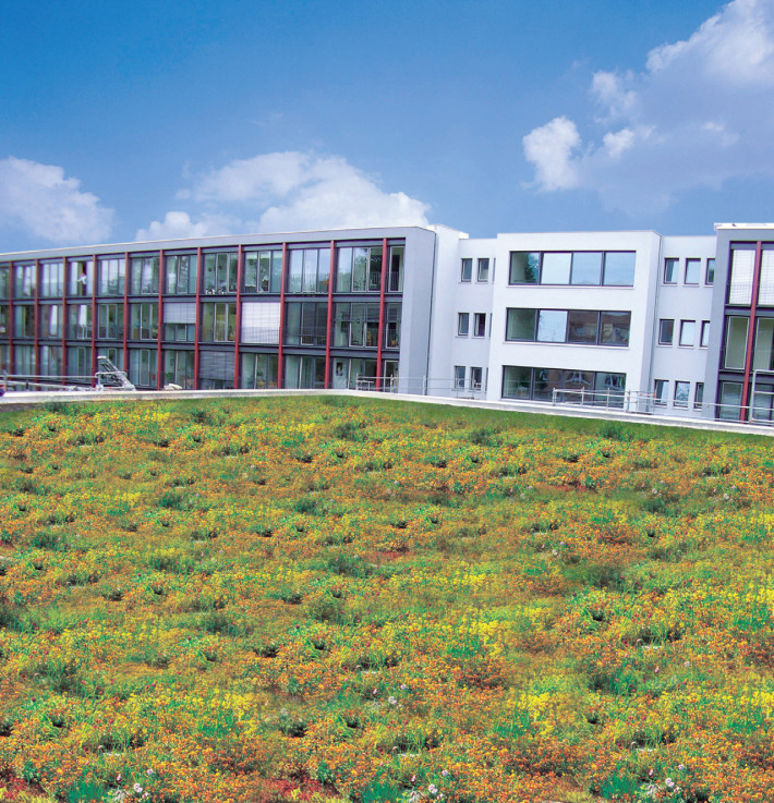 Dachy zielone z wykorzystaniem dedykowanych produktów DELTA Floraxx Top, DELTA Floraxx i DELTA Floraxx Flat  