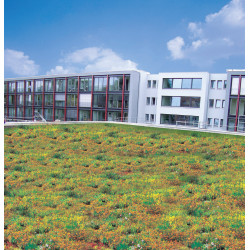 Maty dla dachów zielonych - DELTA Floraxx Top, DELTA Floraxx 