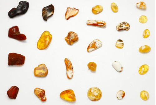 &quot;Unikatowe kolory bursztynu bałtyckiego&quot; Michał Kosior