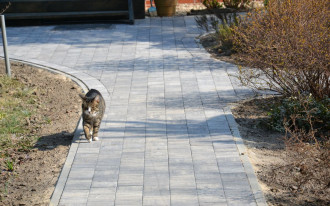 Szarą kostkę brukową kupiliśmy przez przypadek