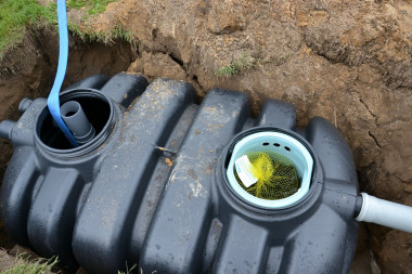 Elementy osadnika gnilnego