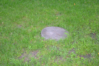 Pokrywa osadnika gnilnego