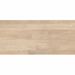 Dąb Cheesecake Grande