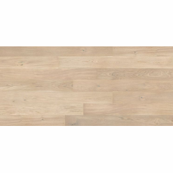 Dąb Cheesecake Grande