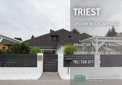 Lipcowy model miesiąca - ogrodzenie TRIEST w atrakcyjnej cenie
