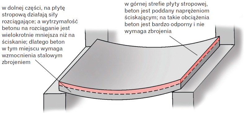 Schemat budowy: Płyta stropowa