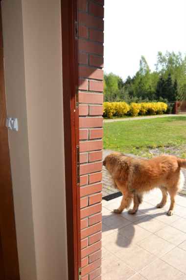 Grubość muru wynosi 51 cm