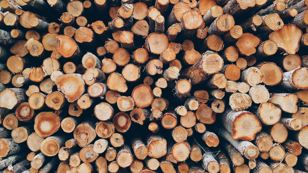 Jak wyliczyć m3 drewna?