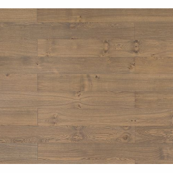 Podłoga Dąb Glamour