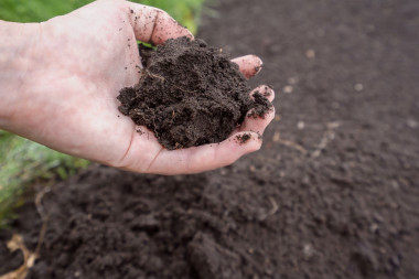 Wiosenne nawożenie: sprawdź strukturę ziemi