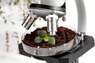 Wiosenne nawożenie: pobierz próbkę gleby