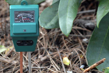 Wiosenne nawożenie: zbadaj pH gleby