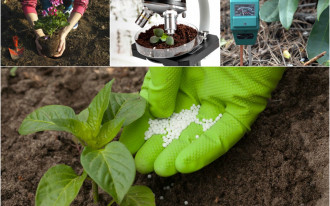 Wiosenne nawożenie ogrodu w 6 krokach