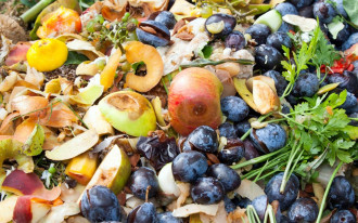 Chcę założyć kompostownik. Jaki pojemnik wybrać oraz co kompostować?