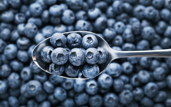 Uprawa borówki amerykańskiej we własnym ogrodzie