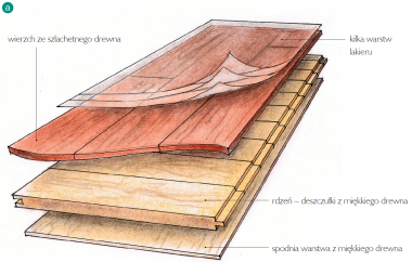 Warstwowa budowa panelu drewnianego - schemat