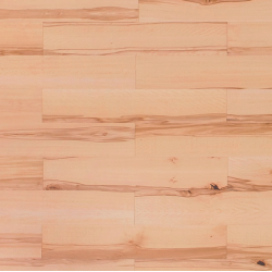 Podłoga Buk Twardzielowy