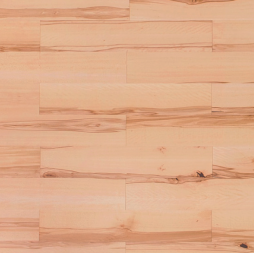 Podłoga Buk Twardzielowy