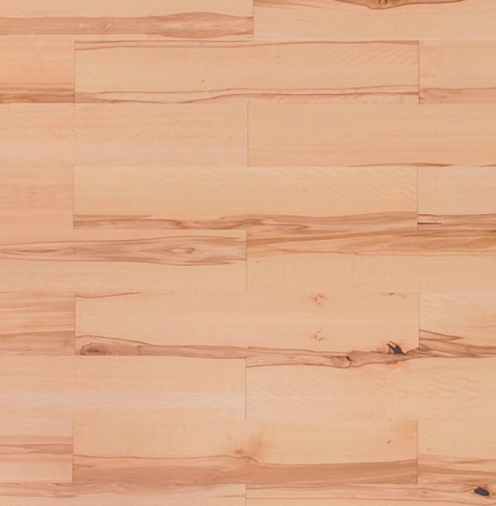 Podłoga Buk Twardzielowy