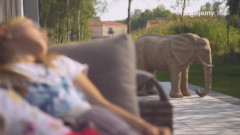 Płyty wielkoformatowe BRUK-BET® - nowoczesne nawierzchnie wokół domu