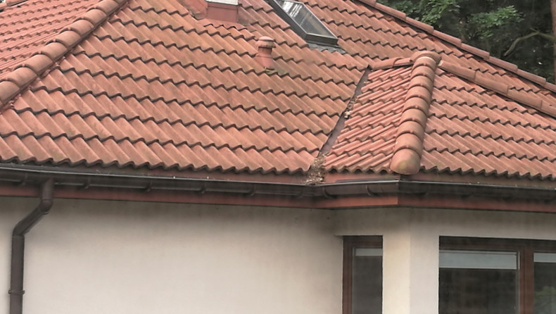 Zanieczyszczenia na dachu