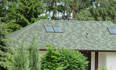 Zielone gonty bitumiczne