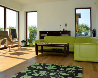 Salon z dużymi oknami