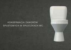 Czyścimy zawór w spłuczce WC