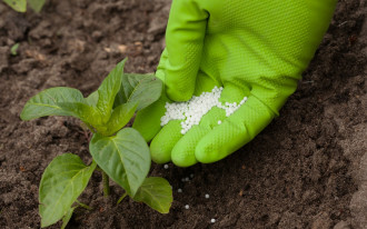 Jesienne nawożenie gleby ogrodowej