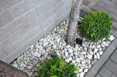 Halogeny od dołu podświetlają drzewa