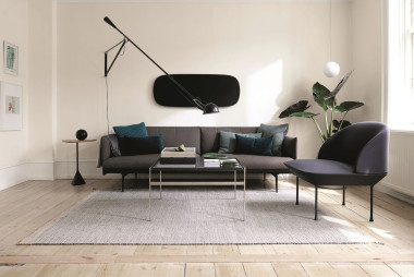 Salon w domu alergika